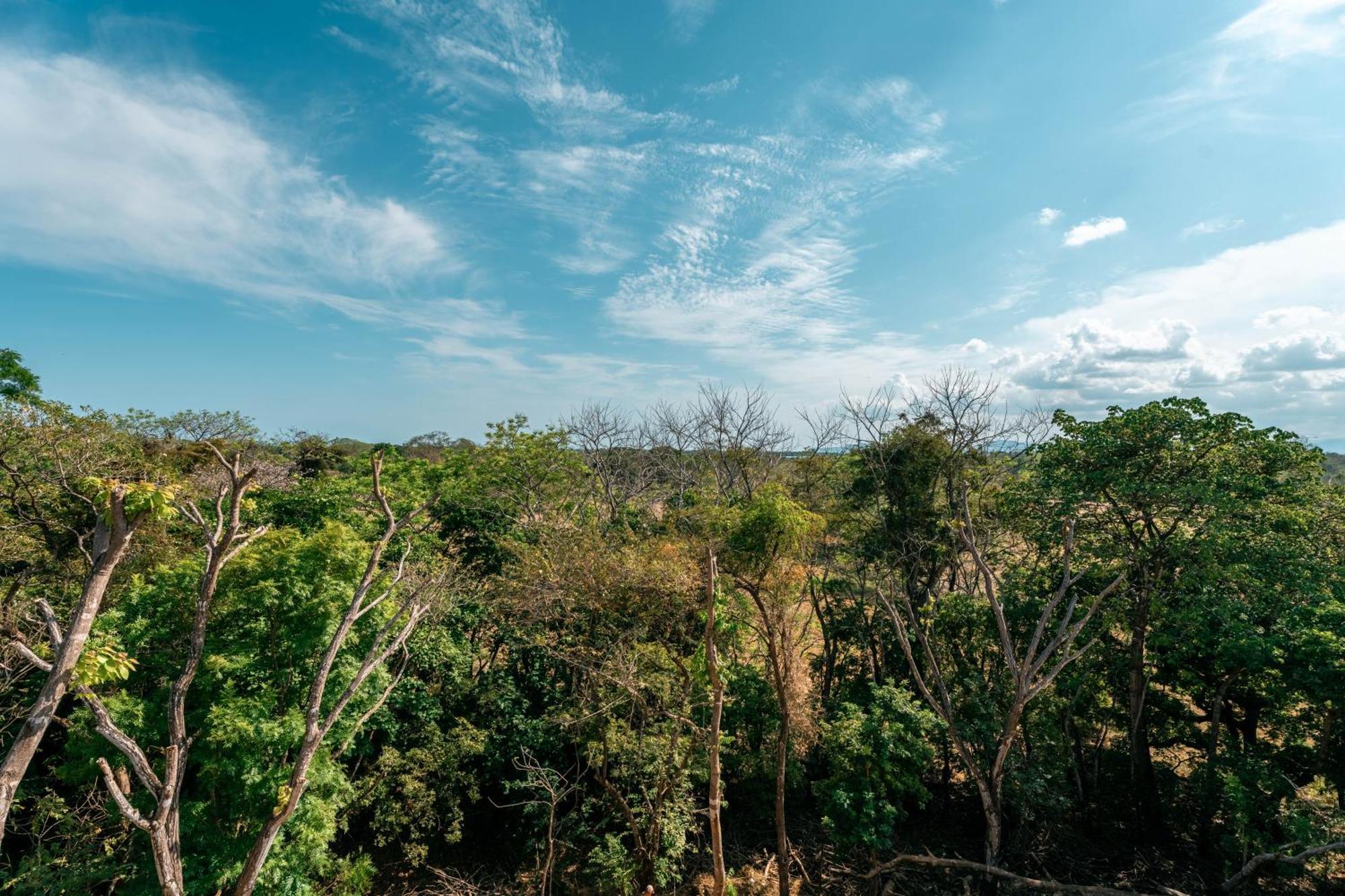Alaya Yoga & Surf & Retreat Hotel Playa Venao Luaran gambar